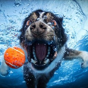 Meet your Posher, Karina